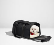 Small, white dog inside the Pet Carrier, laying on the removable sherpa lining